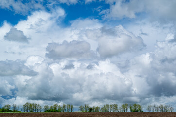 Spring landscape with beautiful clouds on the background of trees