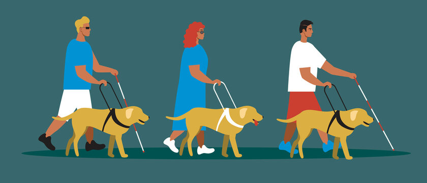 Guide dog, blind people isolated, flat vector stock illustration with a community of sluts with labradors as a guide for a disabled person