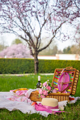 Picnic in the park under blooming cherry trees with fruit, wine, bread and croissants