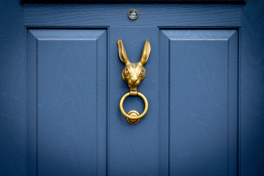 Blue wooden front door with bronze rabbit head door knocker