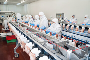 People working at a chicken factory, stock photo.Production line with packaging and cutting of...