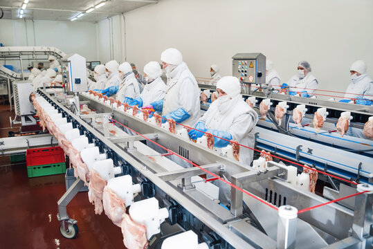 People working at a chicken factory, stock photo.Production line with packaging and cutting of meat.Meat processing equipment.