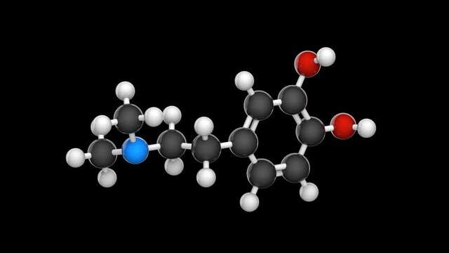 N,N-Dimethyldopamine (DMDA, formula: C10H15NO2) is an organic compound belonging to the phenethylamine family. Chemical structure model: Ball and Stick.3D render. Seamless loop. Black background