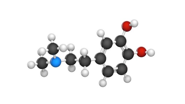 Bilder Durchsuchen 432 Archivfotos, und