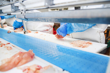 The meat factory. chicken on a conveyor belt.Group of workers working at a chicken factory - food...