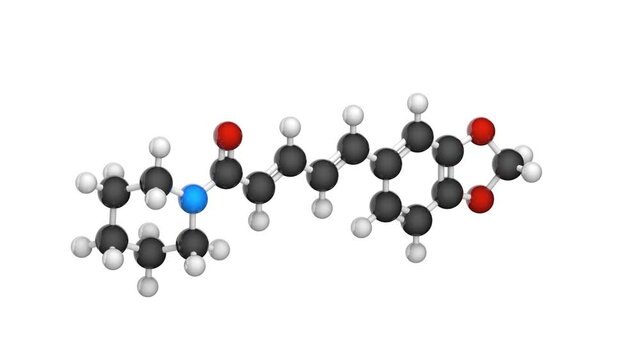 Piperine is the alkaloid responsible for the pungency of black pepper and long pepper. C17H19NO3. Chemical structure model: Ball and Stick. 3D render. Seamless loop. White background