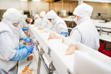 The meat factory. chicken on a conveyor belt.Group of workers working at a chicken factory - food...