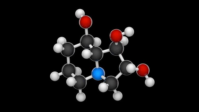 Tridolgosir (Swainsonine) Is An Indolizidine Alkaloid. Formula: C8H15NO3. Chemical Structure Model: Ball And Stick. 3D Render. Seamless Loop. RGB + Alpha (Transparent) Channel