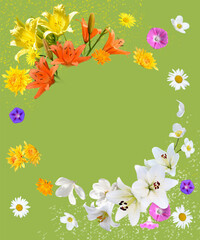 Lilies and chamomile on a green background.