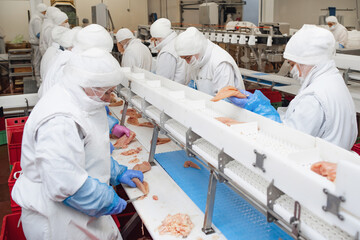 Factory for the production of food from meat.Industrial equipment at a meat factory.Automated production line in modern food factory.