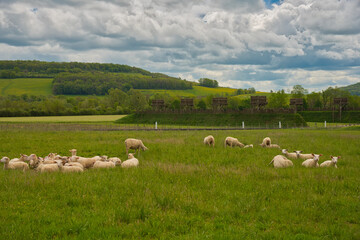 Obraz premium Landschaft um Alésia im Burgund in Frankreich