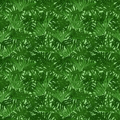 Naklejka na ściany i meble Green tropical foliage seamless pattern with exotic philodedron xanadu leaves illustration.