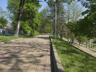 walk in green mountain park