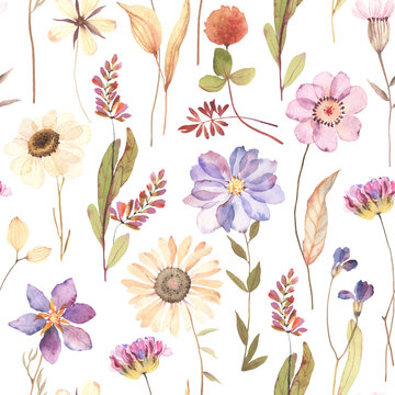 Watercolor floral seamless pattern with colorful flowers in herbarium style. Dry flowers isolated on white background, hand painting image, print pastel colors.