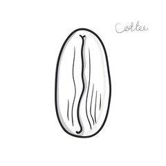 coffee bean outline isolation vector illustration