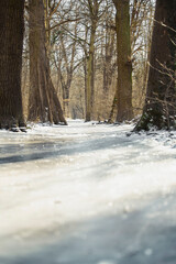 Eingefrorener Weg durch den Wald