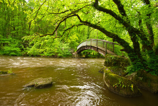 Vall&eacute;e de Cousin bei Avallon im Burgund in Frankreich