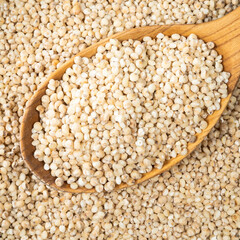 Sorghum groats in wooden spoon closeup