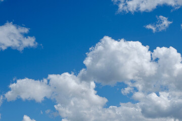 Naklejka na ściany i meble Voluminous white cloudscape on vivid blue sky