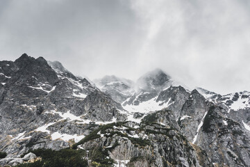 incredibly beautiful snow-capped majestic mountains, incredible wildlife