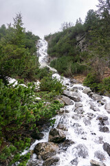 mountain river swiftly descend over the stones, incredible wildlife