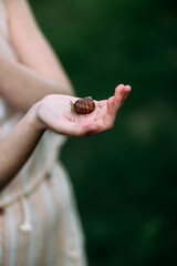 outdoors, fauna, natural, beautiful, portrait, care, childhood, beauty, human, slow, fun, nature, child, snail, hand, summer, life, animal, background, shell, environment, girl, little, garden, discov