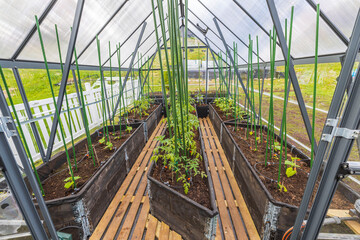 Beautiful view of greenhouse interior with automatic watering system. Sweden.