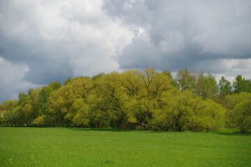Wiesental Taunusstein