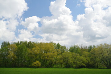 Fototapeta premium Wiesental Taunusstein