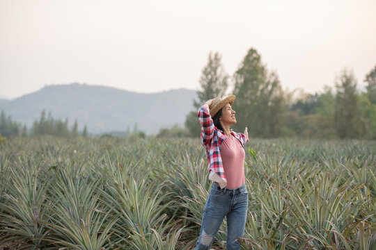 Asian female farmer see growth of pineapple in farm, Young pretty farmer woman standing on farmland with arms raised up joyful elated happiness. Organic farmer checking, agriculture business concept