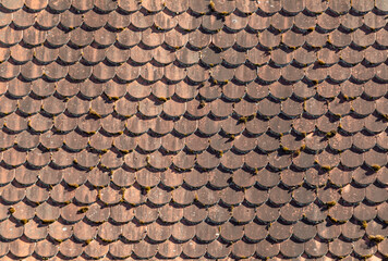 red tiles at the roof gives a harmonic background