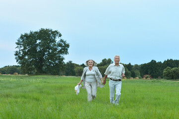 Happy beautiful senior couple running in summer field