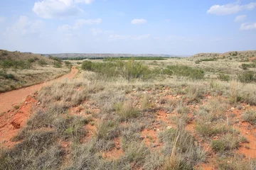 Foto op Canvas Droog landschap in het westen van Texas, VS © traveller70