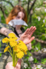 Obraz na płótnie Canvas Season allergy to flowering plants pollen. Dandelion bouquet against young woman with paper handkerchief in garden and doing stop sign. Teen girl sneezing in blooming trees. Selective focus