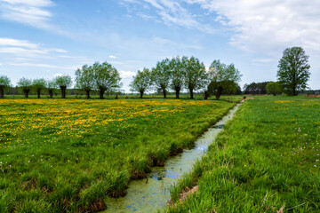Krajobraz wiejski Podlasia, Polska