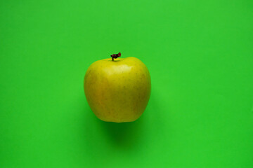 Yellow apple isolated on green background