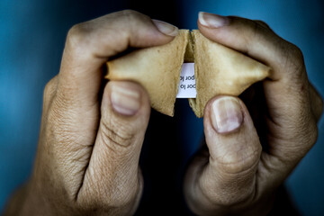 FORTUNE COOKIE