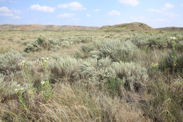 Arid landscape in western Texas, USA