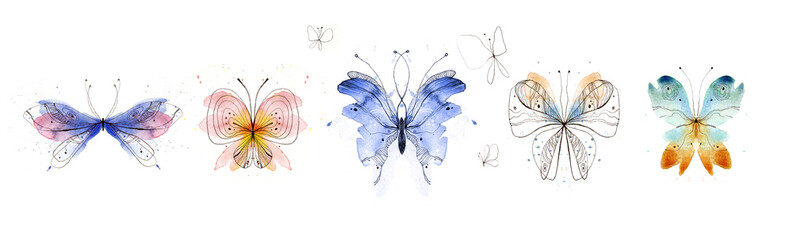 Hand-drawn butterflies collection. Watercolor and pen. Isolated on white background