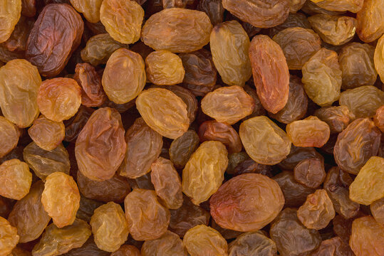 Close up photo of yellow raisins. Top view high resolution macro photo.