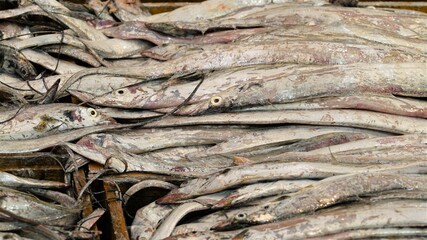 수산시장에서 판매하고 있는 갈치