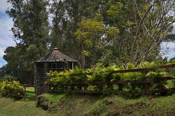 water tank in the woods