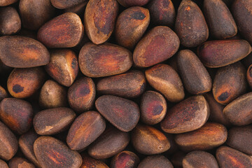 Close up photo of pine nut. Top view high resolution macro photo.