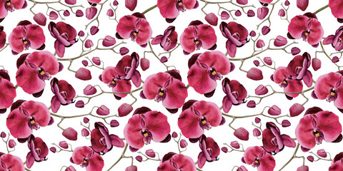 Seamless pattern with red phalaenopsis orchids. Hand painted watercolor butterfly flowers isolated on white background. Interior textile and wrapping paper design