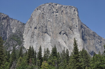 roca el gran capitan