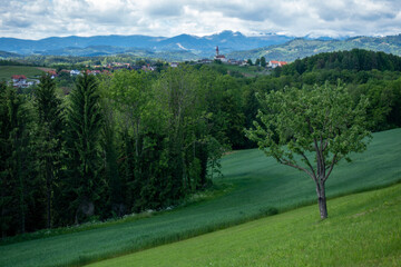 Sankt Oswald bei Plankenwarth . Graz-Umgebung . Steiermark . Österreich
