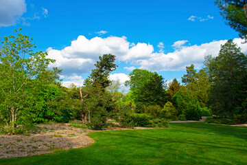 Fototapeta na wymiar Idyllic park setting (Colonial Park, New Jersey) on a warm Spring day with clear skies and some cumulus clouds