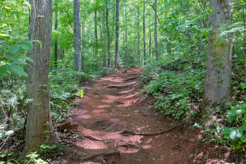 The Main North Trail at the Whitewater Center in North Carolina