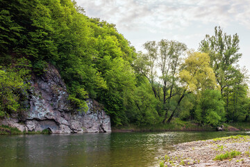 Fototapeta na wymiar river flow under the rock. beautiful nature landscape in spring. deciduous trees on the shore