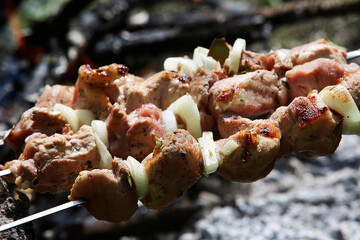 Juicy meat with onions and spices on skewers is fried on a fire in nature. Barbecue. Picnic. Grill.